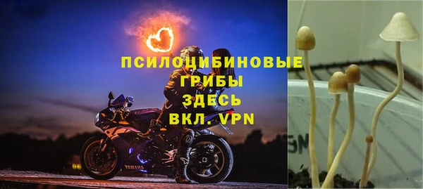 мяу мяу мука Новодвинск