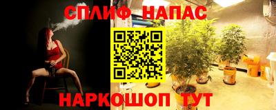 шишки Балашиха