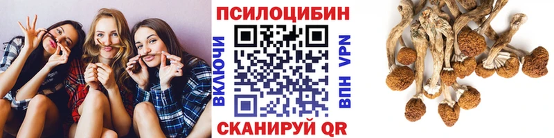 Галлюциногенные грибы прущие грибы  даркнет сайт  Корсаков 