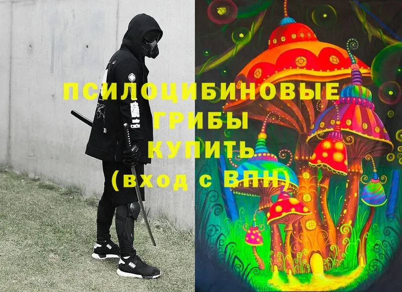 Псилоцибиновые грибы Magic Shrooms  закладка  Корсаков 